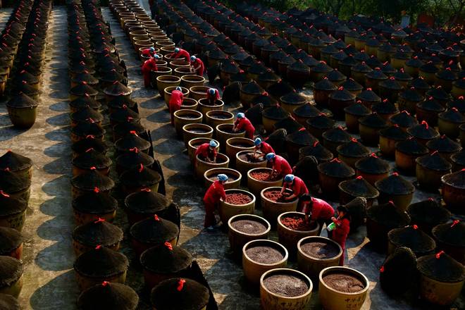 百年匠心酿岁月 薪火相传谱新篇pg电子免费模拟器江津酿造:(图3) 百年匠心酿岁月 薪火相传谱新篇pg电子免费模拟器江津酿造:(图3)