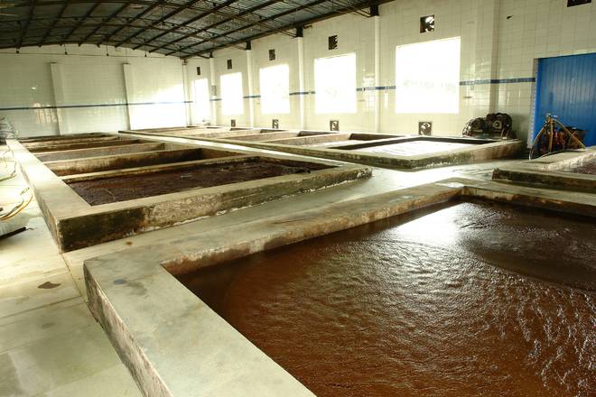 百年匠心酿岁月 薪火相传谱新篇pg电子免费模拟器江津酿造:(图5) 百年匠心酿岁月 薪火相传谱新篇pg电子免费模拟器江津酿造:(图5)