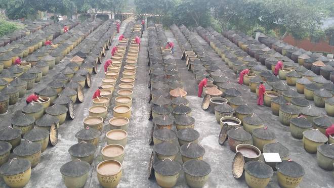 百年匠心酿岁月 薪火相传谱新篇pg电子免费模拟器江津酿造：(图7)