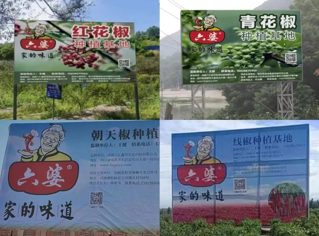 8亿袋一包辣椒面如何成为万能蘸料pg电子平台六婆：一年销量超过(图6)